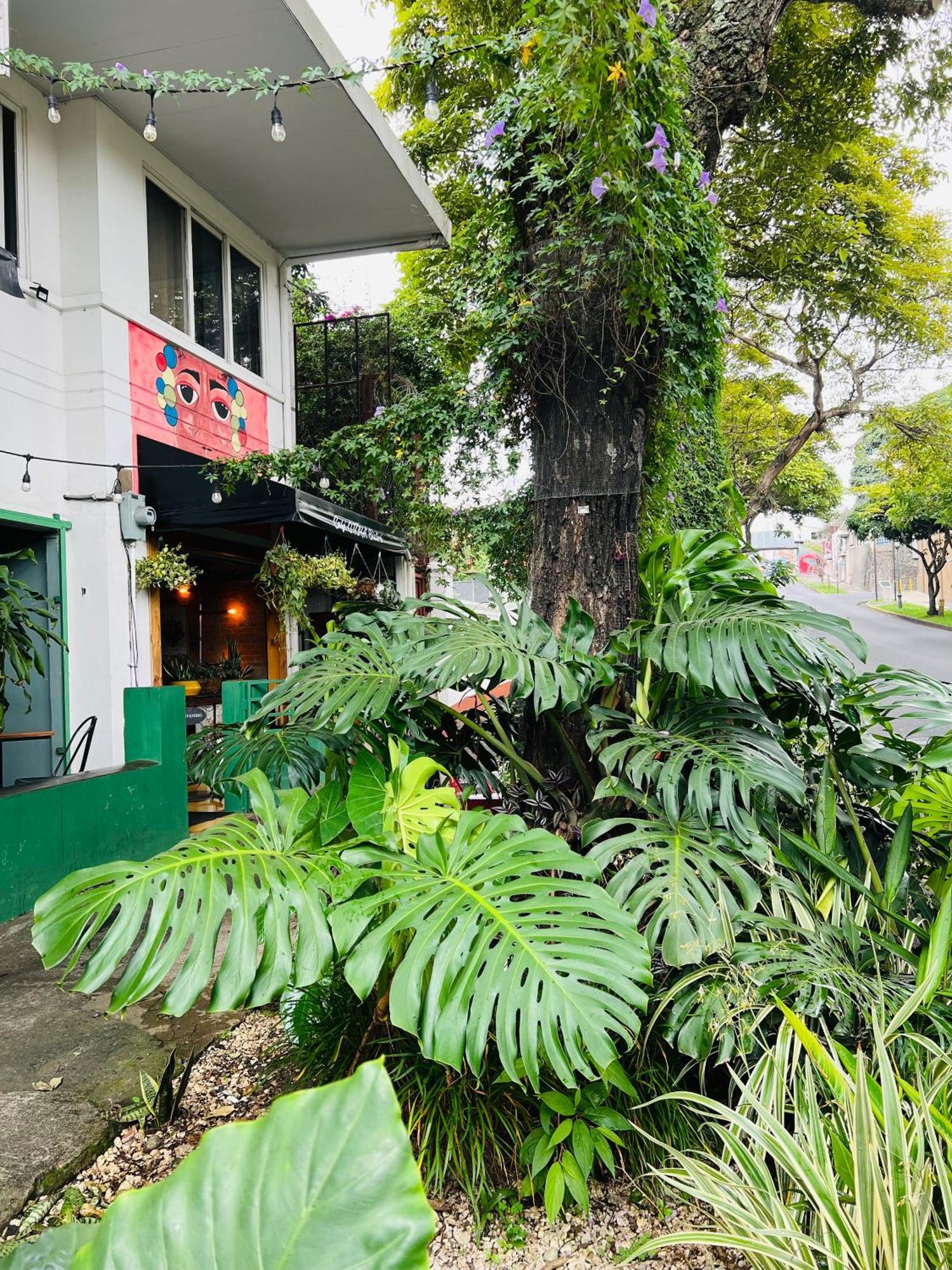 Otoya 1907 (adults Only) 2* San Jose (San Jose)