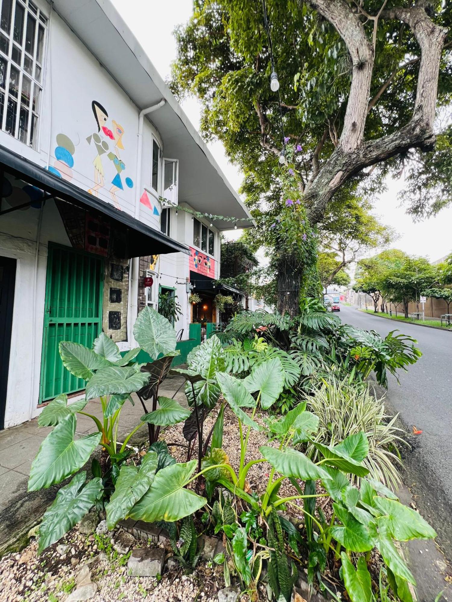 Hotel Otoya 1907 (adults Only) San Jose (San Jose)